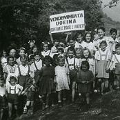 Feste – Vendemmiata Uoeina